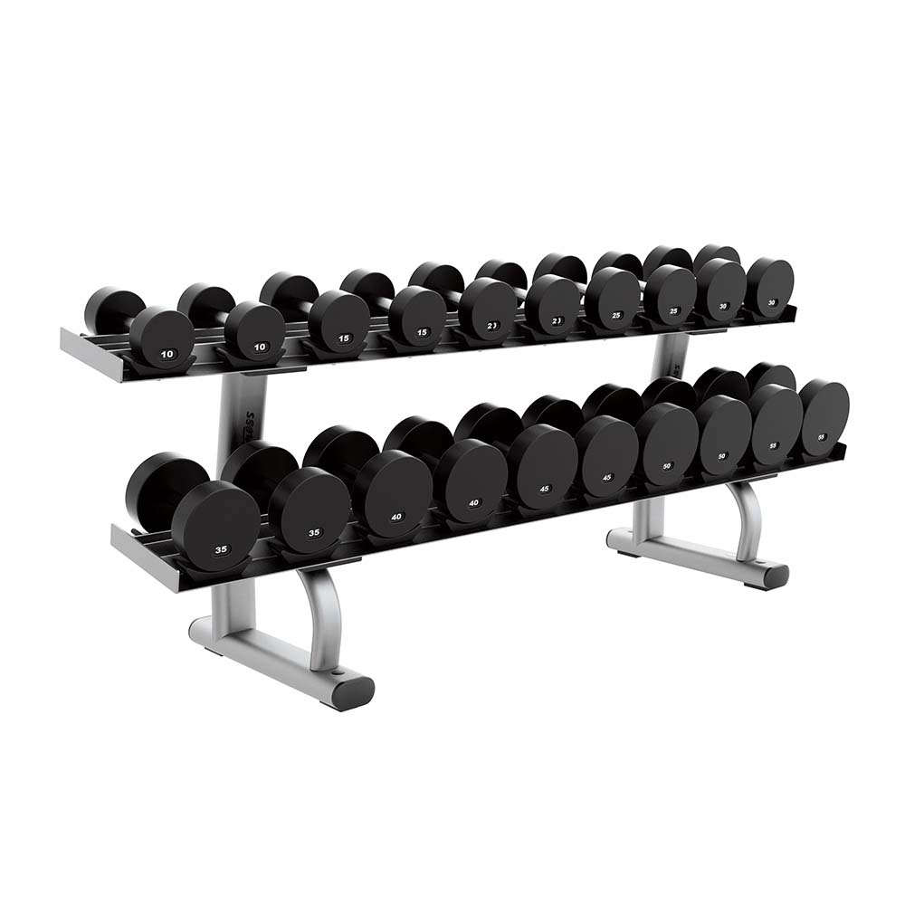 https://shop.lifefitness.com/cdn/shop/products/signature-series-two-tier-dumbbell-rack-platinum-life-fitness-1000x1000_1200x1200.jpg?v=1748945289